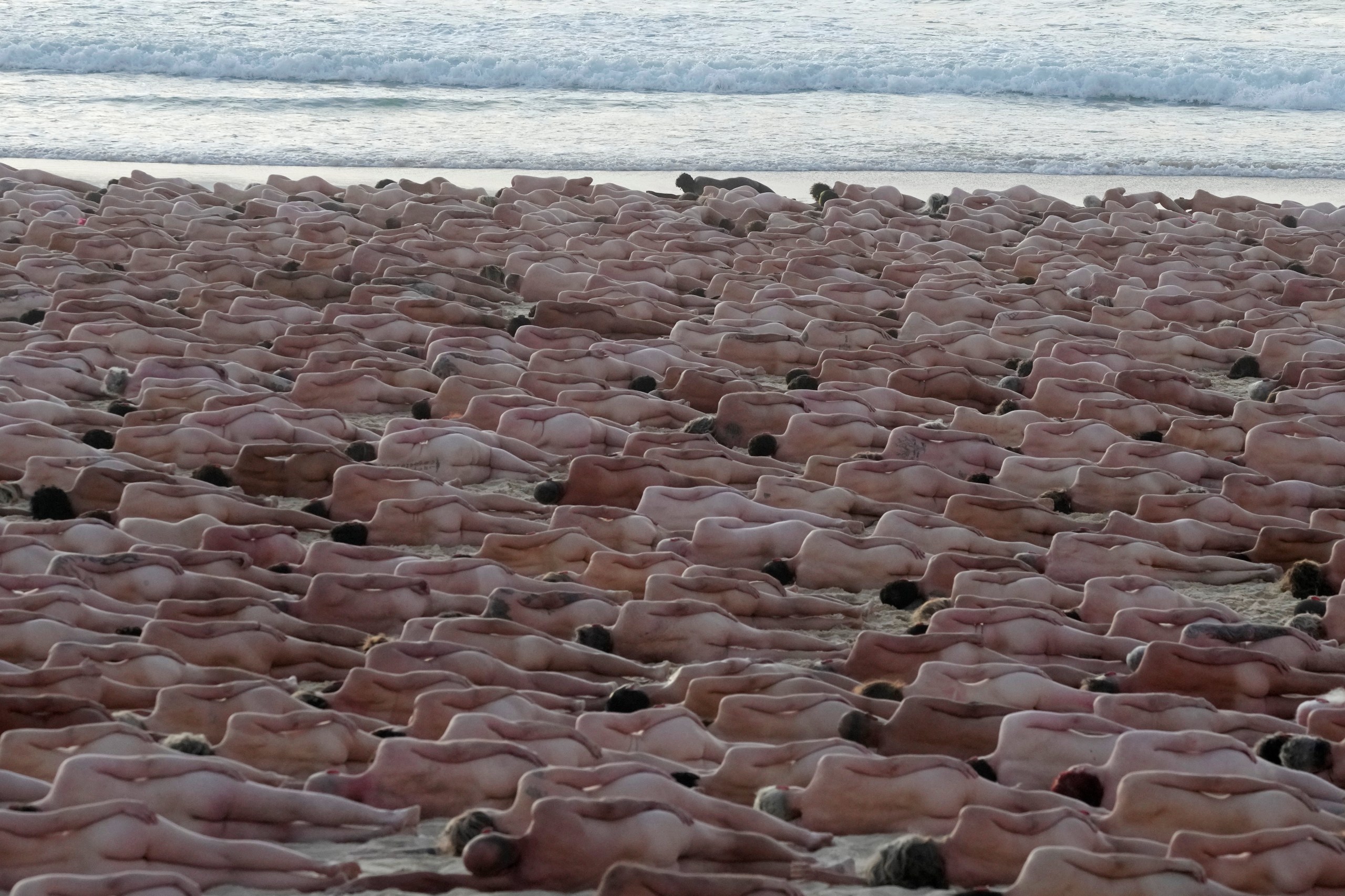 daniel burrows recommends nude beach action pic