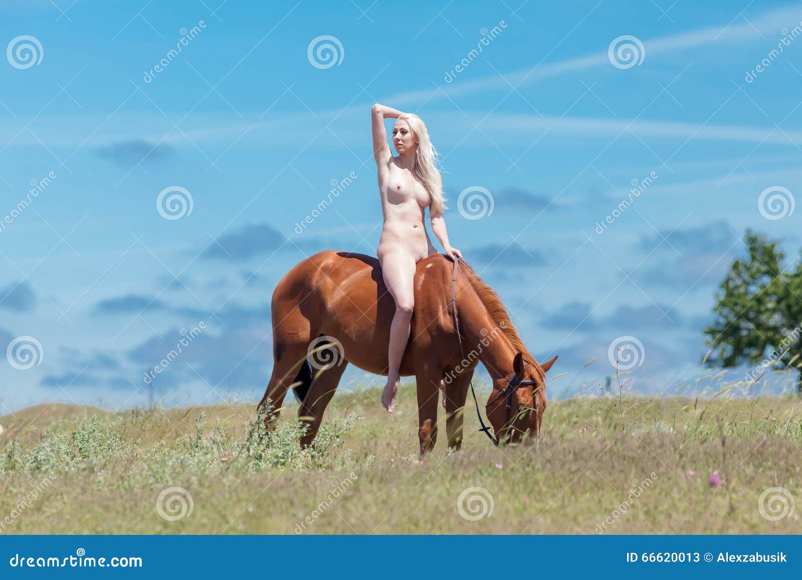 alex doggett recommends Nude Women Riding Horses