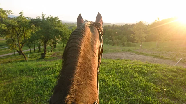 christopher fabela share pov riding photos