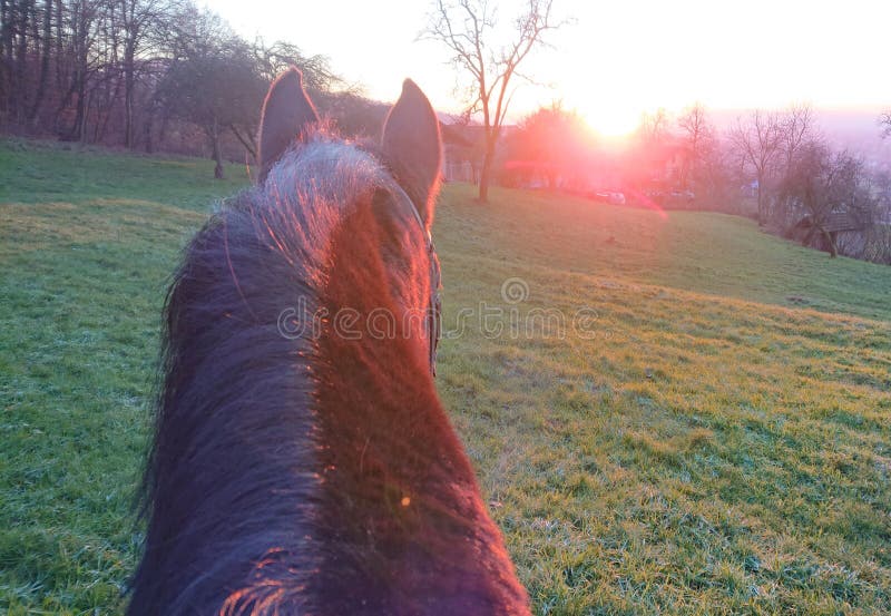 anderson shirley recommends Pov Riding