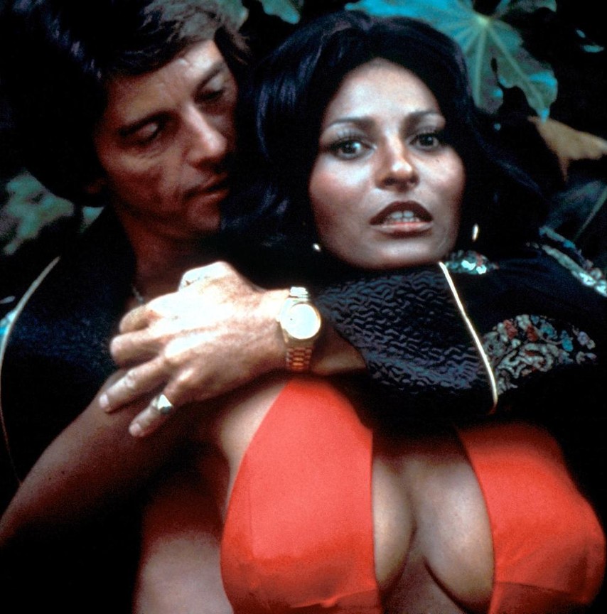 cretu ana maria recommends sexy pam grier pic