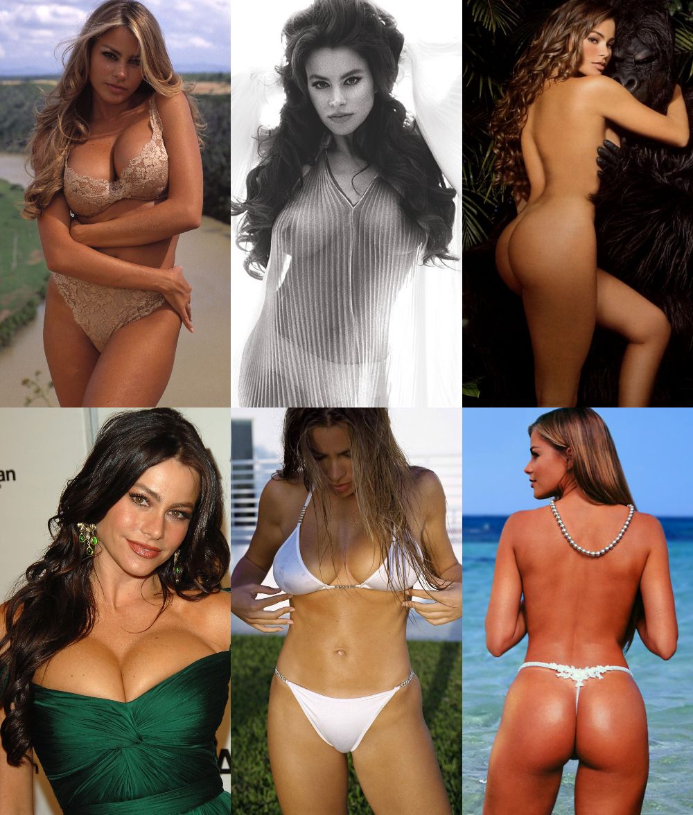 andrew schoenfeld recommends sexy sofia vergara nude pic