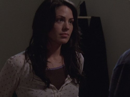 bernard chang recommends tell me you love me michelle borth pic