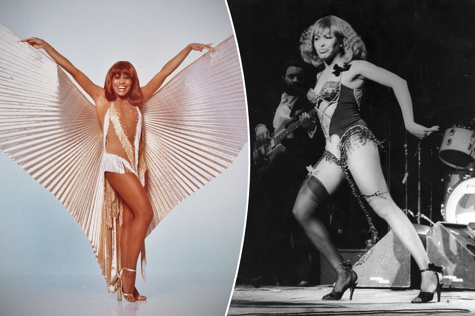 brenda blakeman recommends tina turner topless pic