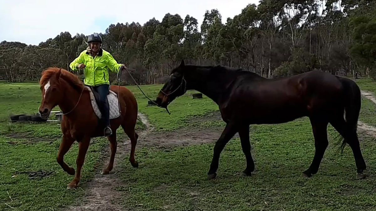 da hee park recommends Tommy King Riding